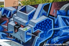 aliart13sm