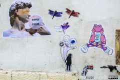 aliart37sm