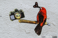 aliart38sm