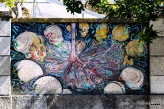 lisbart43sm