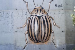 lisbart54sm