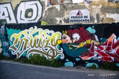 lisbart60sm