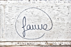 fauve