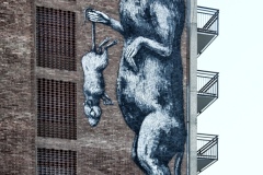 donnola2sm