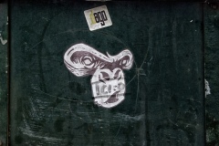 monkeysm