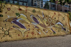 wall6sm