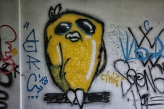 graff11sm